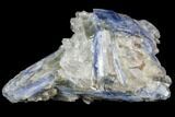 Vibrant Blue Kyanite Crystals In Quartz- Brazil #80382-1